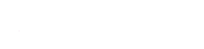 system logo